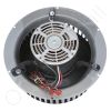 Envirco Motor Blower Assembly